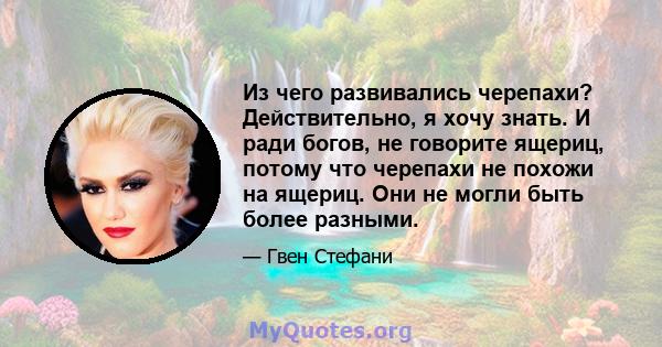 Из чего развивались черепахи? Действительно, я хочу знать. И ради богов, не говорите ящериц, потому что черепахи не похожи на ящериц. Они не могли быть более разными.