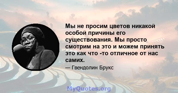 Мы не просим цветов никакой особой причины его существования. Мы просто смотрим на это и можем принять это как что -то отличное от нас самих.