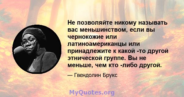 Не позволяйте никому называть вас меньшинством, если вы чернокожие или латиноамериканцы или принадлежите к какой -то другой этнической группе. Вы не меньше, чем кто -либо другой.