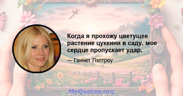 Когда я прохожу цветущее растение цуккини в саду, мое сердце пропускает удар.