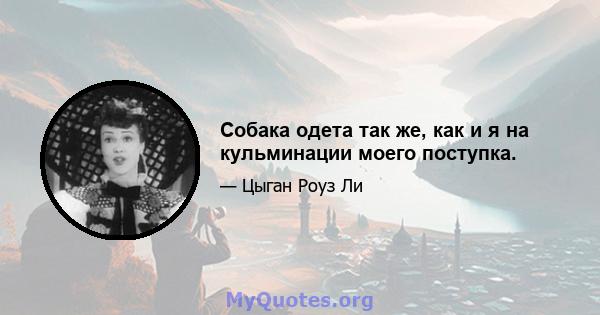 Собака одета так же, как и я на кульминации моего поступка.