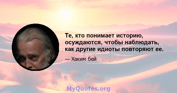 Те, кто понимает историю, осуждаются, чтобы наблюдать, как другие идиоты повторяют ее.