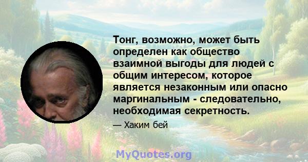 Тонг, возможно, может быть определен как общество взаимной выгоды для людей с общим интересом, которое является незаконным или опасно маргинальным - следовательно, необходимая секретность.