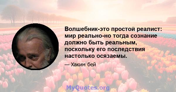 Волшебник-это простой реалист: мир реально-но тогда сознание должно быть реальным, поскольку его последствия настолько осязаемы.