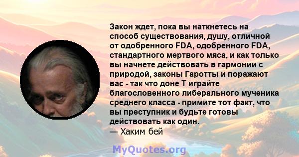 Закон ждет, пока вы наткнетесь на способ существования, душу, отличной от одобренного FDA, одобренного FDA, стандартного мертвого мяса, и как только вы начнете действовать в гармонии с природой, законы Гаротты и