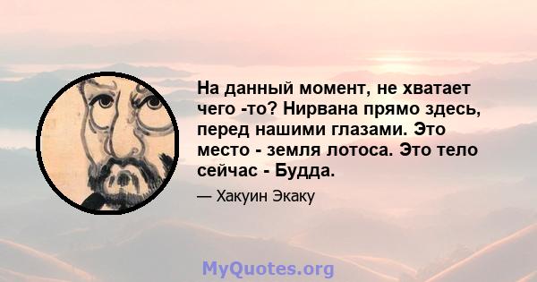 На данный момент, не хватает чего -то? Нирвана прямо здесь, перед нашими глазами. Это место - земля лотоса. Это тело сейчас - Будда.