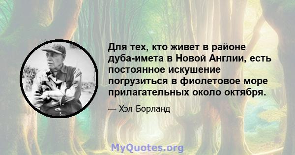 Для тех, кто живет в районе дуба-имета в Новой Англии, есть постоянное искушение погрузиться в фиолетовое море прилагательных около октября.