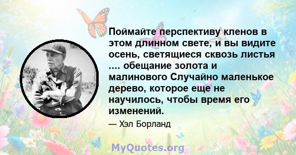 Поймайте перспективу кленов в этом длинном свете, и вы видите осень, светящиеся сквозь листья .... обещание золота и малинового Случайно маленькое дерево, которое еще не научилось, чтобы время его изменений.