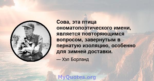 Сова, эта птица ономатопоэтического имени, является повторяющимся вопросом, завернутым в пернатую изоляцию, особенно для зимней доставки.