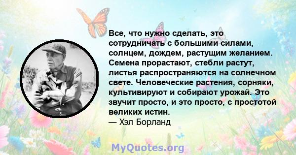 Все, что нужно сделать, это сотрудничать с большими силами, солнцем, дождем, растущим желанием. Семена прорастают, стебли растут, листья распространяются на солнечном свете. Человеческие растения, сорняки, культивируют