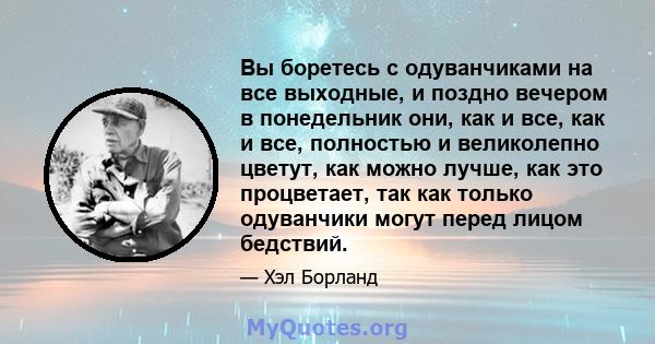 Вы боретесь с одуванчиками на все выходные, и поздно вечером в понедельник они, как и все, как и все, полностью и великолепно цветут, как можно лучше, как это процветает, так как только одуванчики могут перед лицом