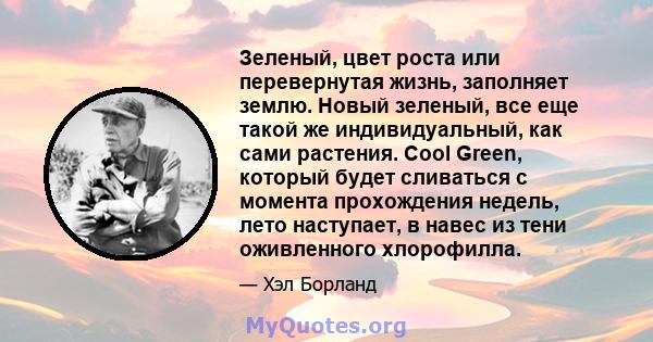 Зеленый, цвет роста или перевернутая жизнь, заполняет землю. Новый зеленый, все еще такой же индивидуальный, как сами растения. Cool Green, который будет сливаться с момента прохождения недель, лето наступает, в навес