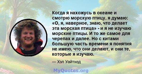 Когда я нахожусь в океане и смотрю морскую птицу, я думаю: «О, я, наверное, знаю, что делает эта морская птица» - и я не изучаю морские птицы. И то же самое для черепах и далее. Но с китами большую часть времени я