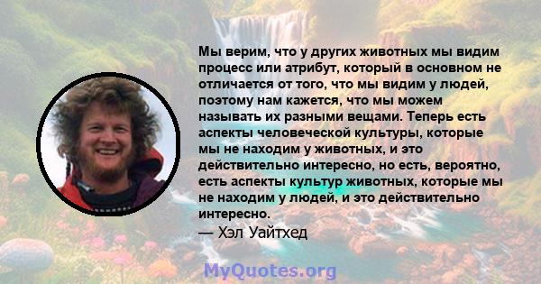 Мы верим, что у других животных мы видим процесс или атрибут, который в основном не отличается от того, что мы видим у людей, поэтому нам кажется, что мы можем называть их разными вещами. Теперь есть аспекты