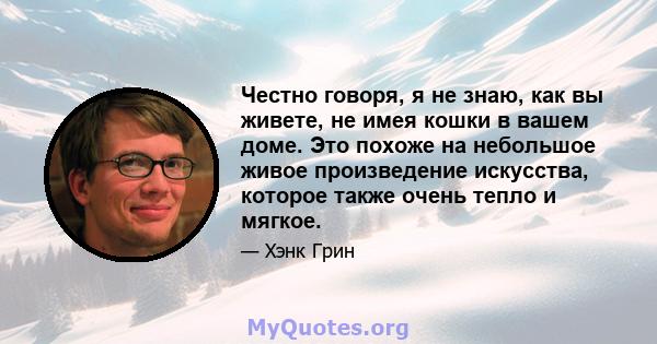 Честно говоря, я не знаю, как вы живете, не имея кошки в вашем доме. Это похоже на небольшое живое произведение искусства, которое также очень тепло и мягкое.