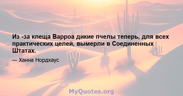 Из -за клеща Варроа дикие пчелы теперь, для всех практических целей, вымерли в Соединенных Штатах.