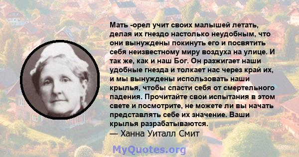 Мать -орел учит своих малышей летать, делая их гнездо настолько неудобным, что они вынуждены покинуть его и посвятить себя неизвестному миру воздуха на улице. И так же, как и наш Бог. Он разжигает наши удобные гнезда и