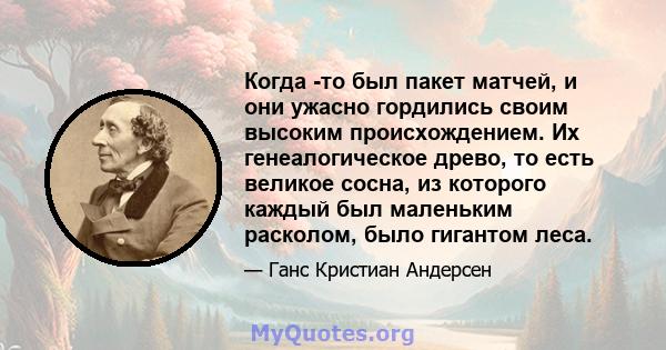 Когда -то был пакет матчей, и они ужасно гордились своим высоким происхождением. Их генеалогическое древо, то есть великое сосна, из которого каждый был маленьким расколом, было гигантом леса.