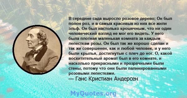 В середине сада выросло розовое дерево; Он был полон роз, и в самых красивых из них все жили эльф. Он был настолько крошечным, что ни один человеческий взгляд не мог его видеть. У него была плотная маленькая комната за