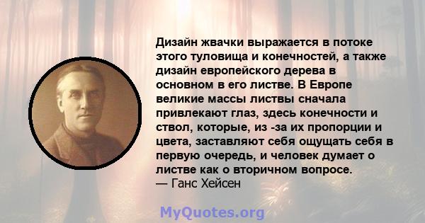 Дизайн жвачки выражается в потоке этого туловища и конечностей, а также дизайн европейского дерева в основном в его листве. В Европе великие массы листвы сначала привлекают глаз, здесь конечности и ствол, которые, из