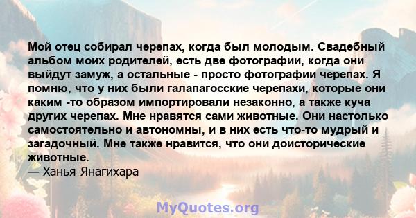 Мой отец собирал черепах, когда был молодым. Свадебный альбом моих родителей, есть две фотографии, когда они выйдут замуж, а остальные - просто фотографии черепах. Я помню, что у них были галапагосские черепахи, которые 