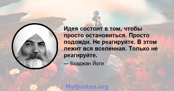 Идея состоит в том, чтобы просто остановиться. Просто подожди. Не реагируйте. В этом лежит вся вселенная. Только не реагируйте.