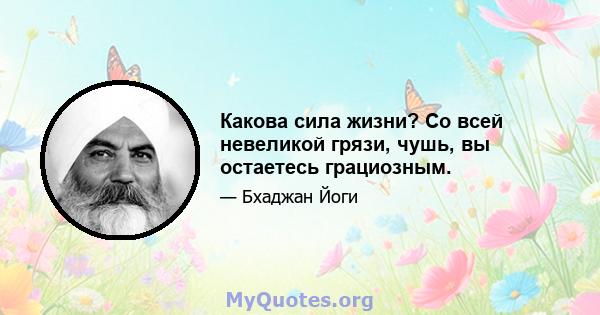 Какова сила жизни? Со всей невеликой грязи, чушь, вы остаетесь грациозным.