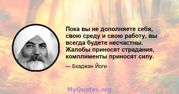 Пока вы не дополняете себя, свою среду и свою работу, вы всегда будете несчастны. Жалобы приносят страдания, комплименты приносят силу.