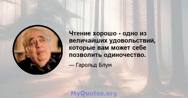 Чтение хорошо - одно из величайших удовольствий, которые вам может себе позволить одиночество.