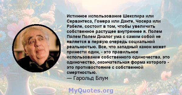 Истинное использование Шекспира или Сервантеса, Гомера или Данте, Чосера или Рабеле, состоит в том, чтобы увеличить собственное растущее внутреннее я. Полем Полем Полем Диалог ума с самим собой не является в первую