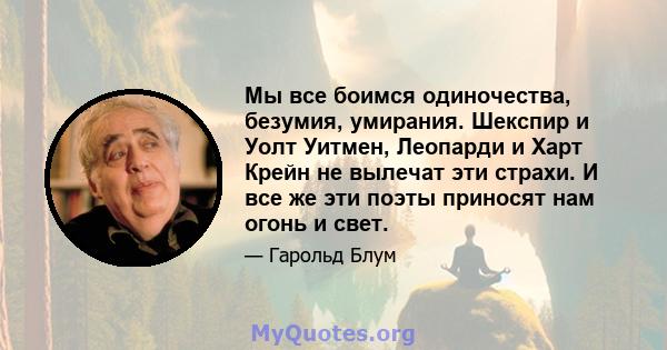 Мы все боимся одиночества, безумия, умирания. Шекспир и Уолт Уитмен, Леопарди и Харт Крейн не вылечат эти страхи. И все же эти поэты приносят нам огонь и свет.