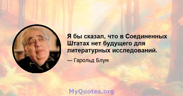 Я бы сказал, что в Соединенных Штатах нет будущего для литературных исследований.