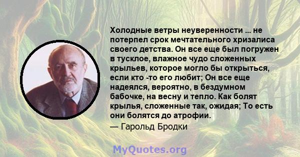 Холодные ветры неуверенности ... не потерпел срок мечтательного хризалиса своего детства. Он все еще был погружен в тусклое, влажное чудо сложенных крыльев, которое могло бы открыться, если кто -то его любит; Он все еще 