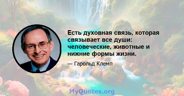 Есть духовная связь, которая связывает все души: человеческие, животные и нижние формы жизни.