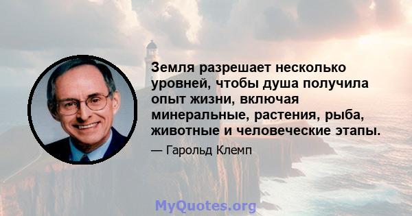 Земля разрешает несколько уровней, чтобы душа получила опыт жизни, включая минеральные, растения, рыба, животные и человеческие этапы.