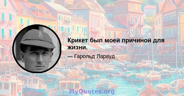 Крикет был моей причиной для жизни.