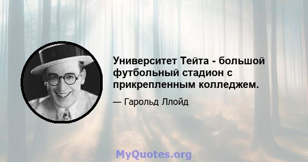 Университет Тейта - большой футбольный стадион с прикрепленным колледжем.