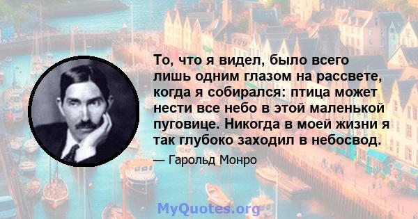 То, что я видел, было всего лишь одним глазом на рассвете, когда я собирался: птица может нести все небо в этой маленькой пуговице. Никогда в моей жизни я так глубоко заходил в небосвод.