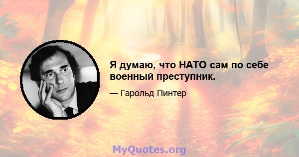 Я думаю, что НАТО сам по себе военный преступник.