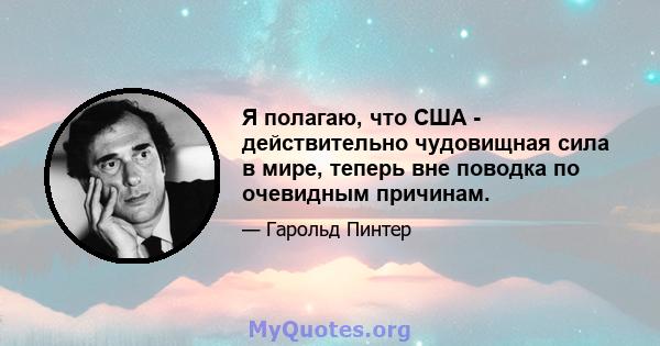 Я полагаю, что США - действительно чудовищная сила в мире, теперь вне поводка по очевидным причинам.