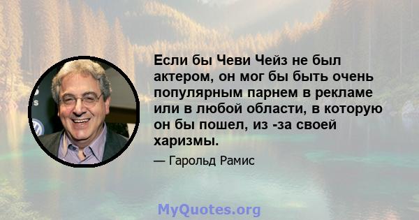 Если бы Чеви Чейз не был актером, он мог бы быть очень популярным парнем в рекламе или в любой области, в которую он бы пошел, из -за своей харизмы.