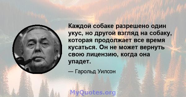 Каждой собаке разрешено один укус, но другой взгляд на собаку, которая продолжает все время кусаться. Он не может вернуть свою лицензию, когда она упадет.