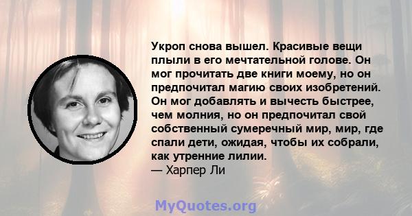 Укроп снова вышел. Красивые вещи плыли в его мечтательной голове. Он мог прочитать две книги моему, но он предпочитал магию своих изобретений. Он мог добавлять и вычесть быстрее, чем молния, но он предпочитал свой