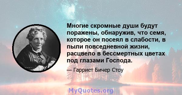 Многие скромные души будут поражены, обнаружив, что семя, которое он посеял в слабости, в пыли повседневной жизни, расцвело в бессмертных цветах под глазами Господа.