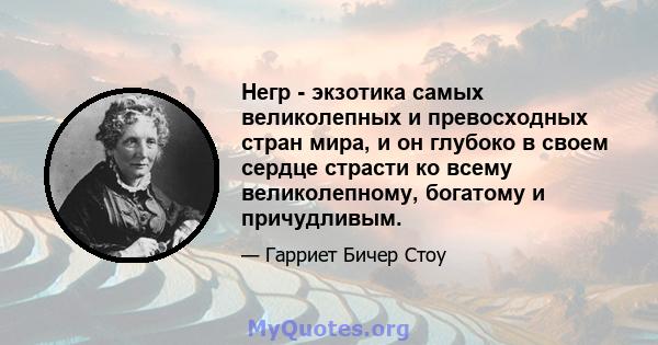 Негр - экзотика самых великолепных и превосходных стран мира, и он глубоко в своем сердце страсти ко всему великолепному, богатому и причудливым.