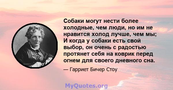 Собаки могут нести более холодные, чем люди, но им не нравится холод лучше, чем мы; И когда у собаки есть свой выбор, он очень с радостью протянет себя на коврик перед огнем для своего дневного сна.