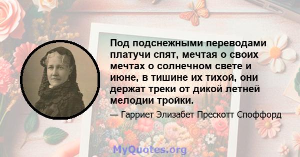 Под подснежными переводами платучи спят, мечтая о своих мечтах о солнечном свете и июне, в тишине их тихой, они держат треки от дикой летней мелодии тройки.