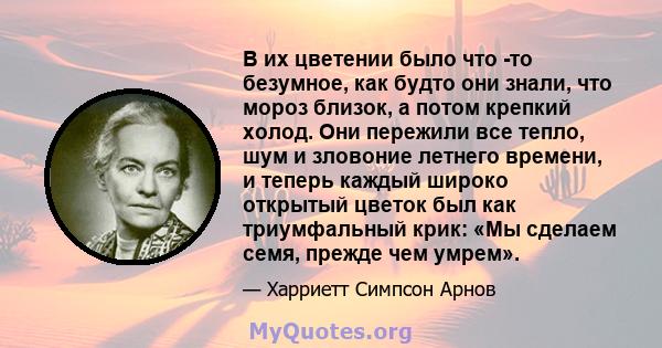 В их цветении было что -то безумное, как будто они знали, что мороз близок, а потом крепкий холод. Они пережили все тепло, шум и зловоние летнего времени, и теперь каждый широко открытый цветок был как триумфальный