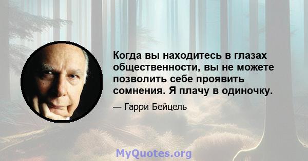 Когда вы находитесь в глазах общественности, вы не можете позволить себе проявить сомнения. Я плачу в одиночку.