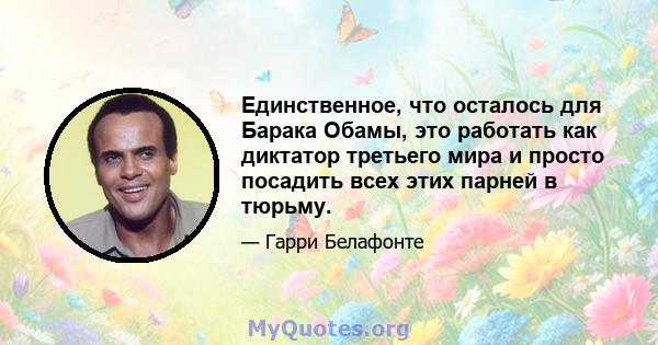 Единственное, что осталось для Барака Обамы, это работать как диктатор третьего мира и просто посадить всех этих парней в тюрьму.